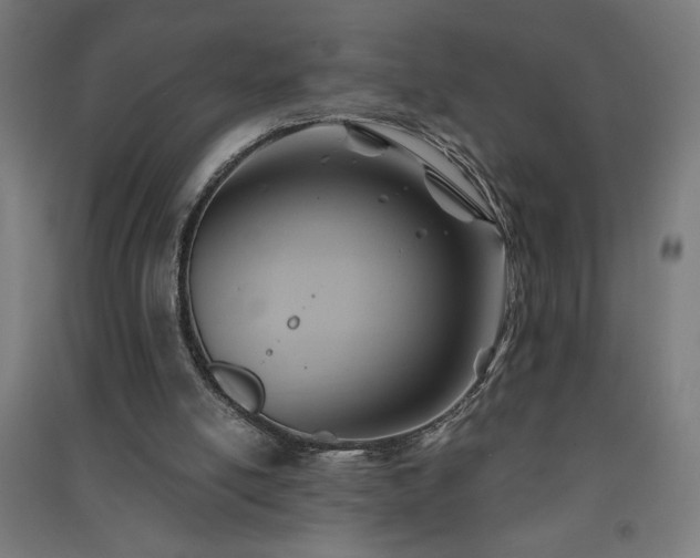 X0000091580054200708201217