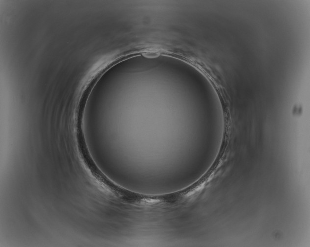 X0000091580055200708201217