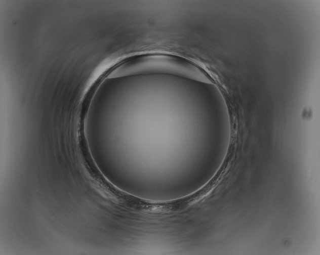 X0000091580056200708201217