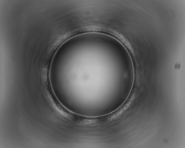 X0000091580057200708201217