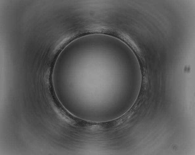 X0000091580058200708201217