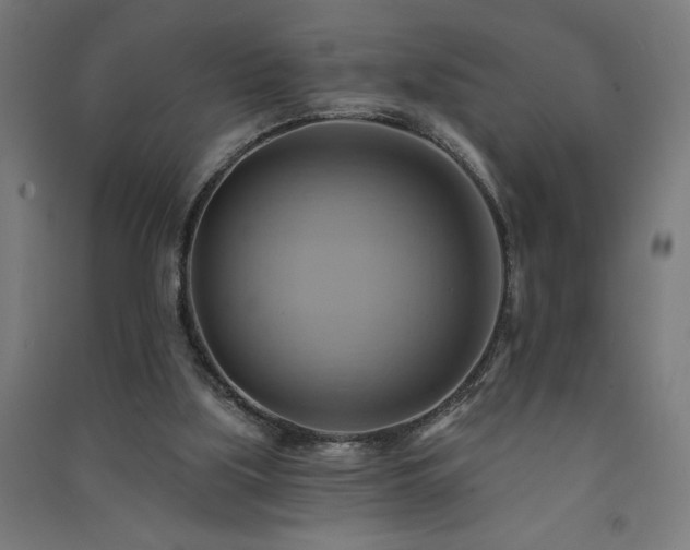 X0000091580059200708201217
