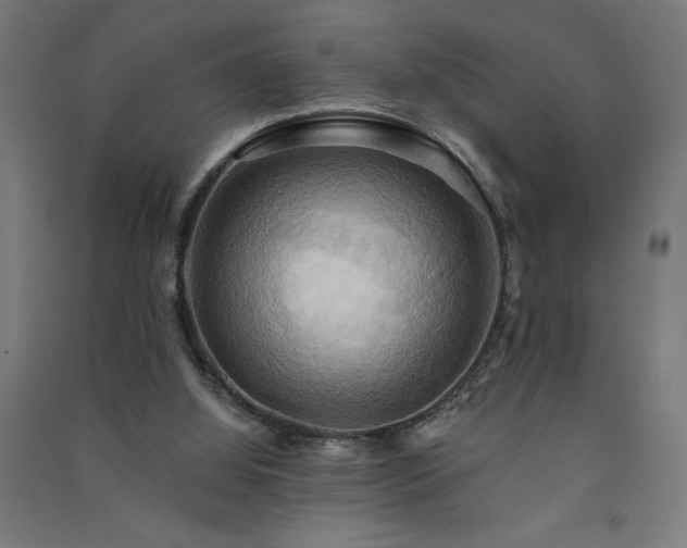 X0000091580060200708201217