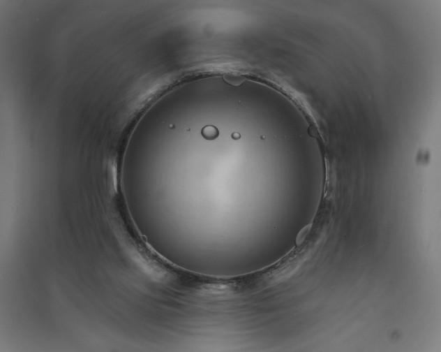 X0000091580061200708201217