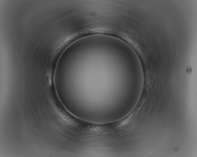 X0000091580062200708201217