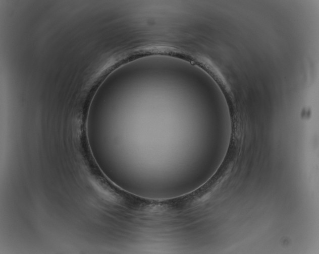 X0000091580063200708201217