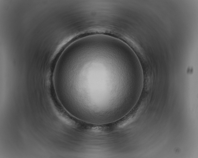 X0000091580064200708201217
