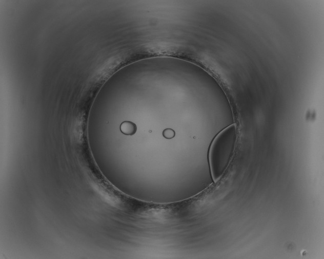 X0000091580065200708201217