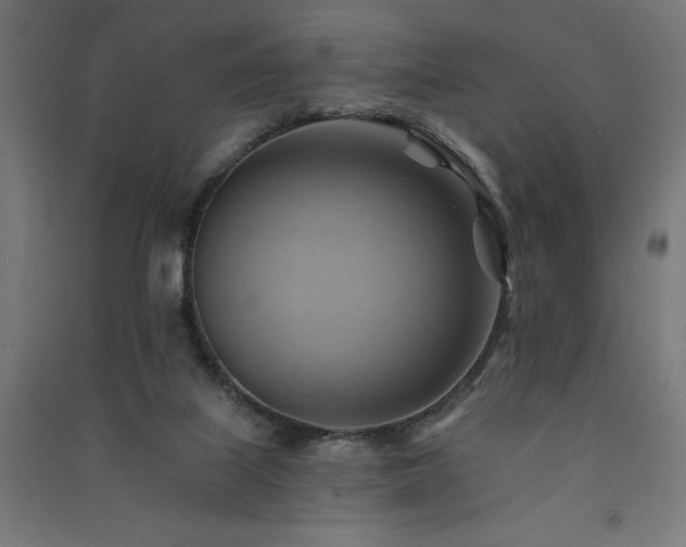 X0000091580067200708201217