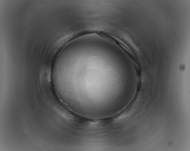 X0000091580068200708201217