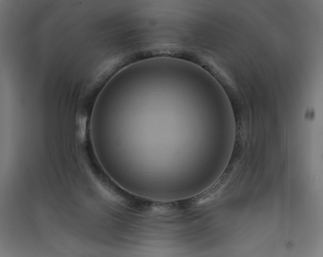 X0000091580070200708201217