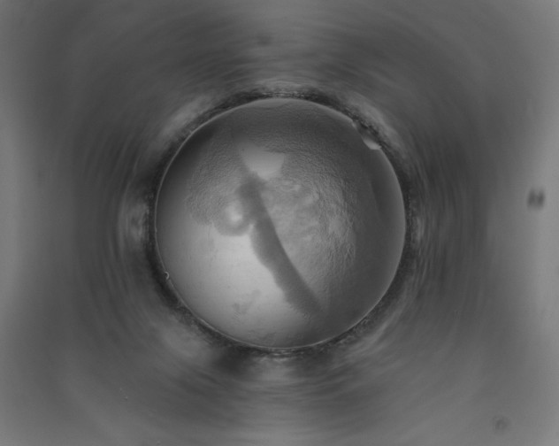 X0000091580071200708201217