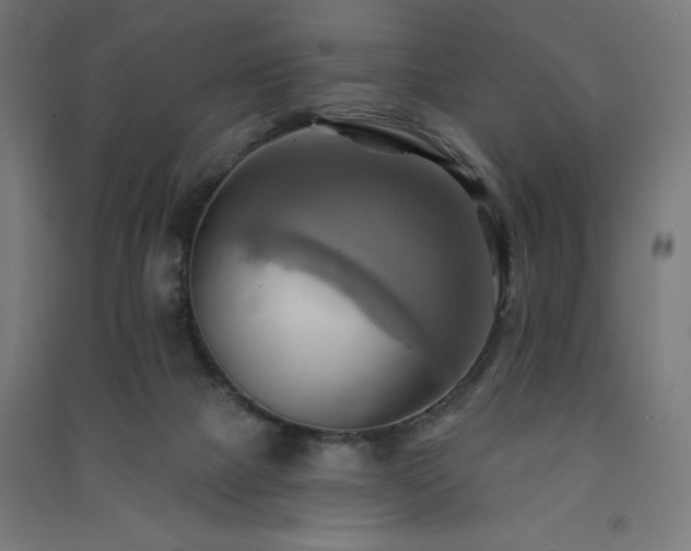 X0000091580073200708201217