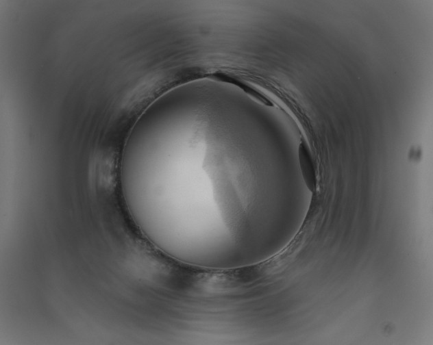 X0000091580074200708201217