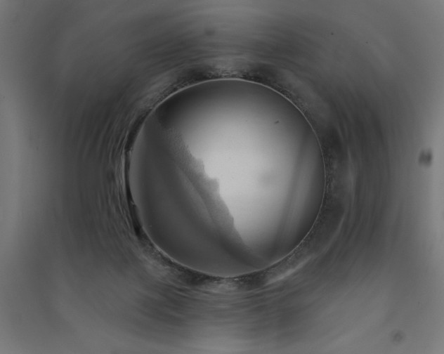 X0000091580075200708201217