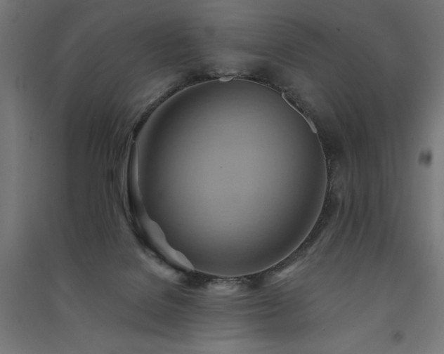 X0000091580076200708201217