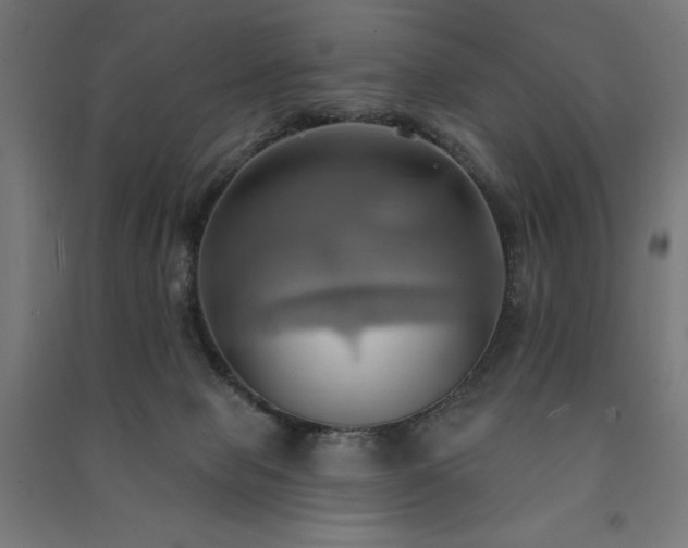 X0000091580077200708201217