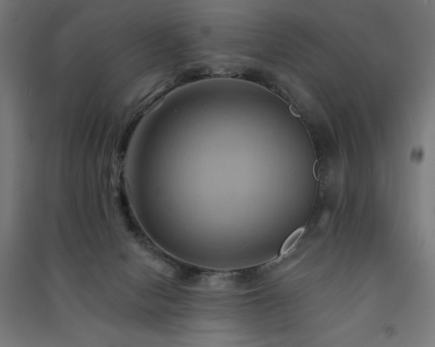 X0000091580078200708201217