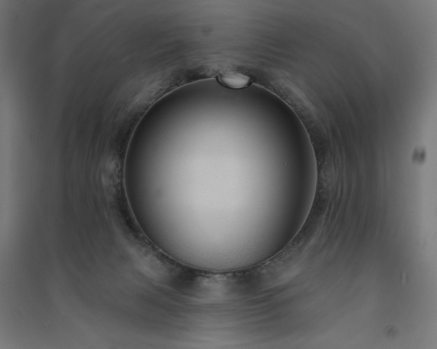 X0000091580079200708201217