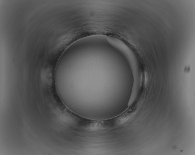 X0000091580080200708201217