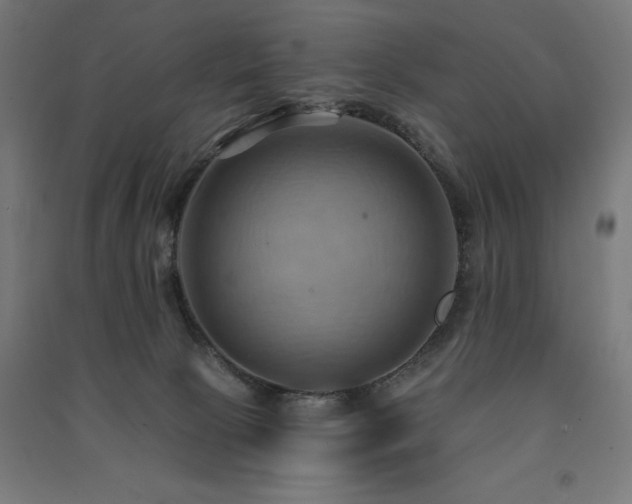 X0000091580081200708201217