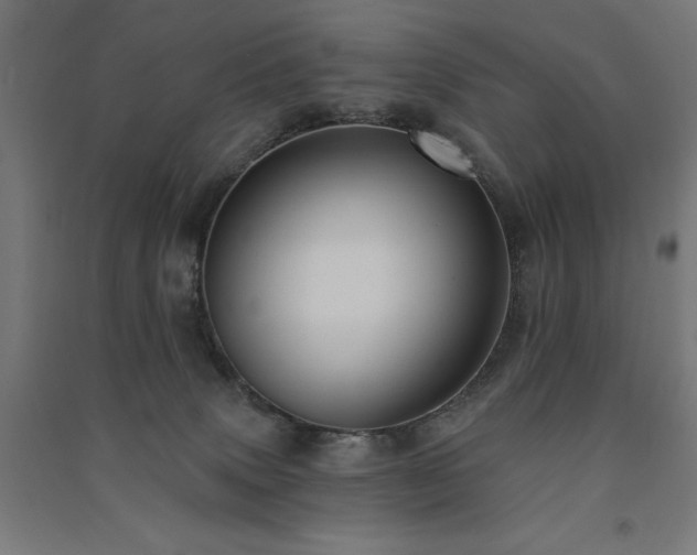X0000091580083200708201217