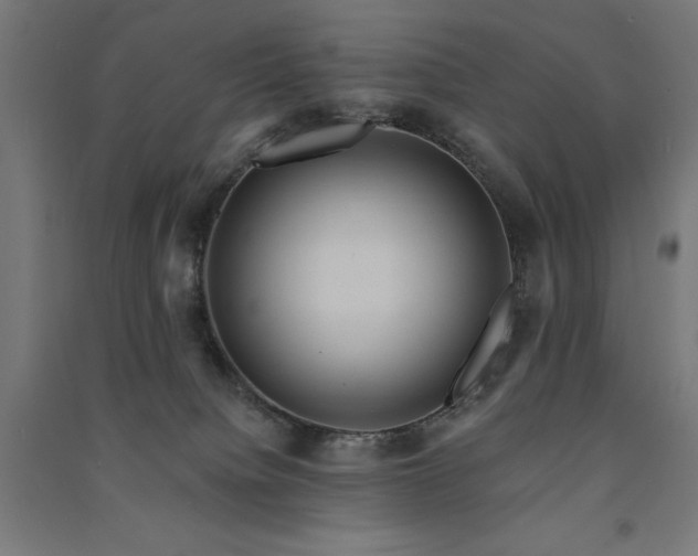 X0000091580084200708201217