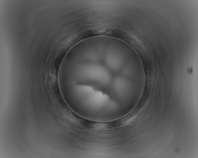 X0000091580085200708201217