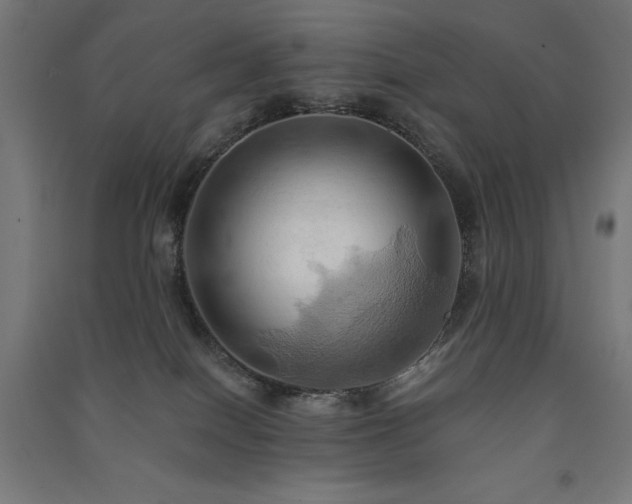 X0000091580086200708201217