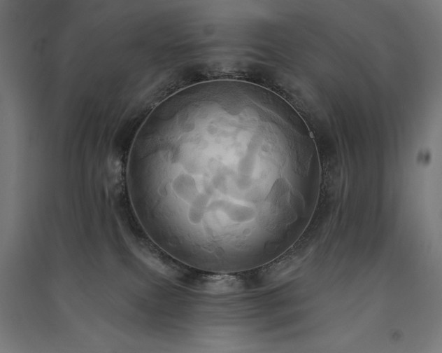 X0000091580087200708201217
