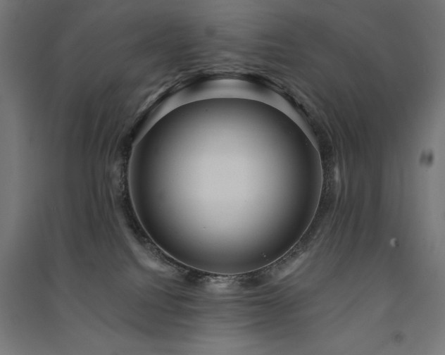X0000091580088200708201217