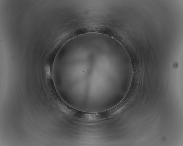X0000091580089200708201217