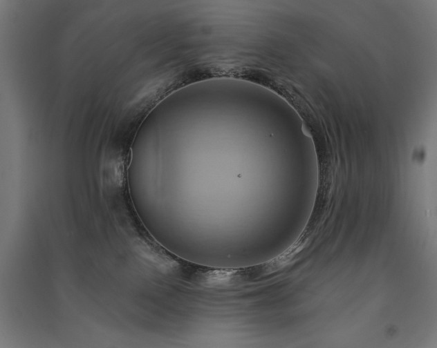 X0000091580090200708201217