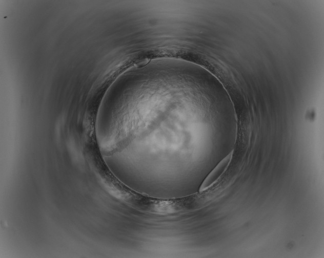 X0000091580091200708201217