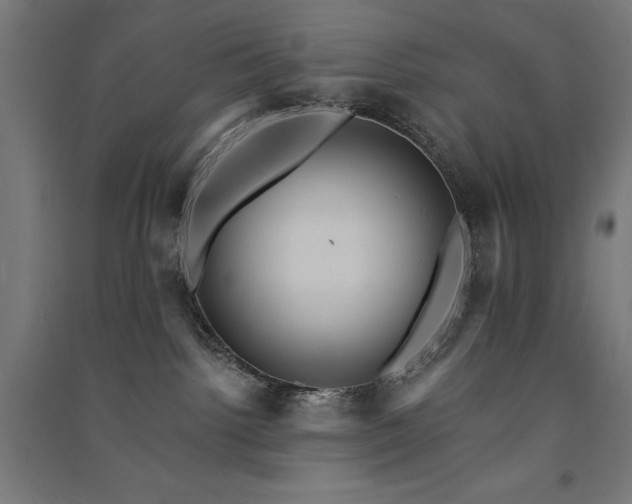 X0000091580092200708201217
