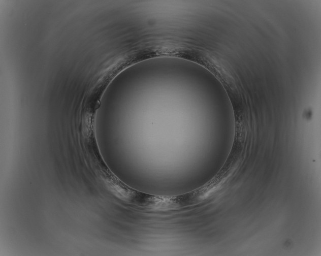 X0000091580093200708201217