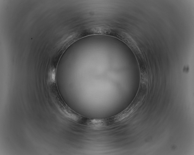 X0000091580095200708201217