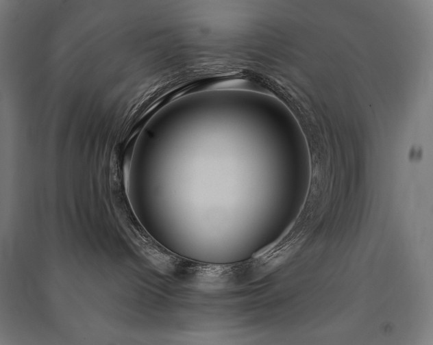 X0000091580096200708201217