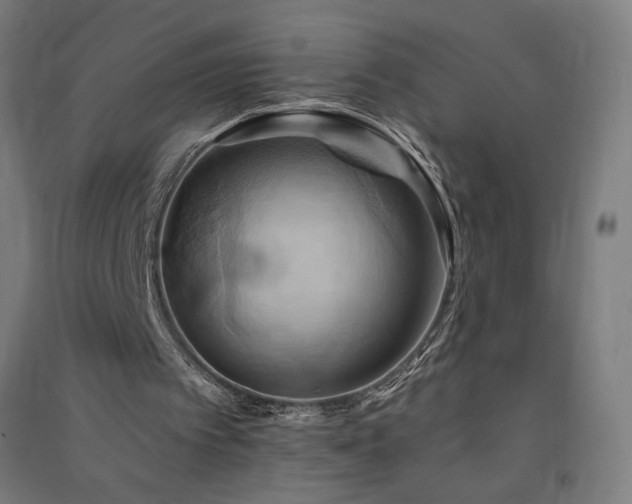 X0000091580097200708201217