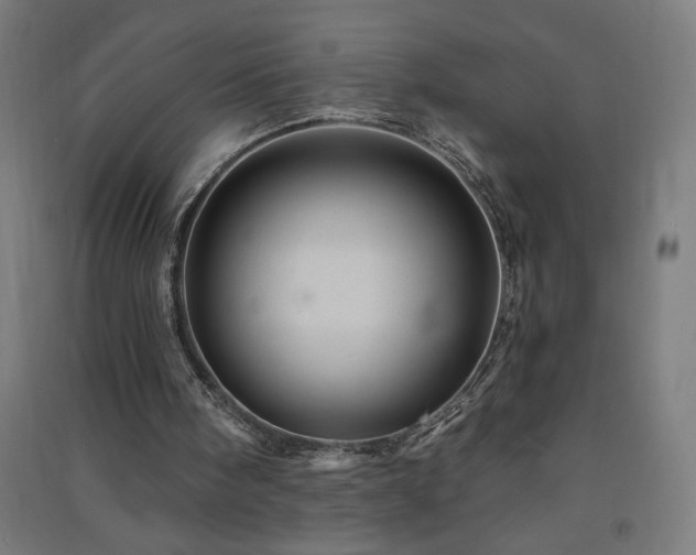 X0000091580098200708201217