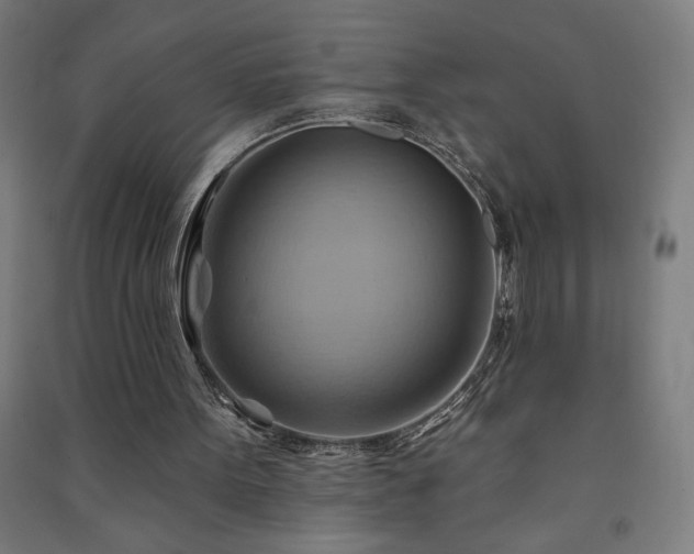 X0000091580099200708201217