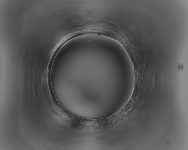 X0000091580100200708201217