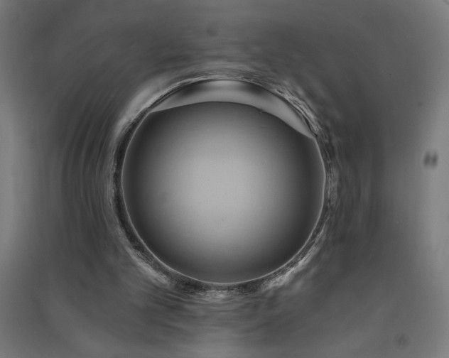 X0000091580101200708201217