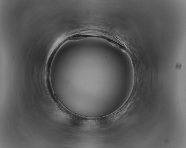X0000091580102200708201216
