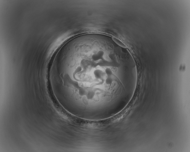 X0000091580103200708201216