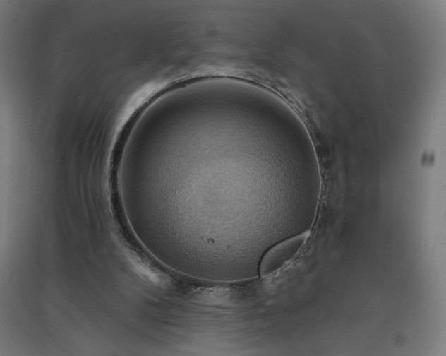 X0000091580104200708201216