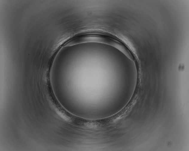 X0000091580105200708201216