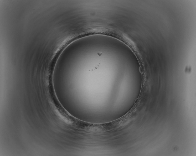 X0000091580106200708201216