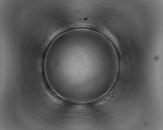 X0000091580107200708201216