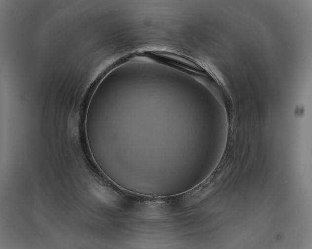 X0000091580108200708201216